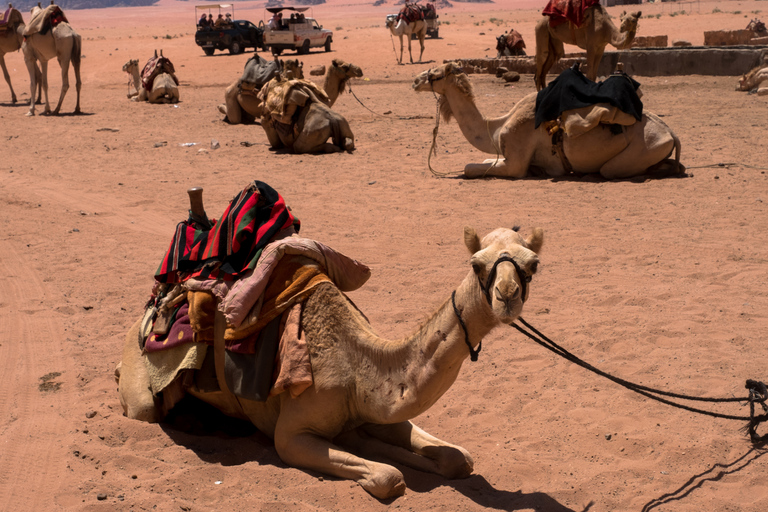 Aqaba: Wadi Rum Private Tour mit Jeep Safari und Abendessen