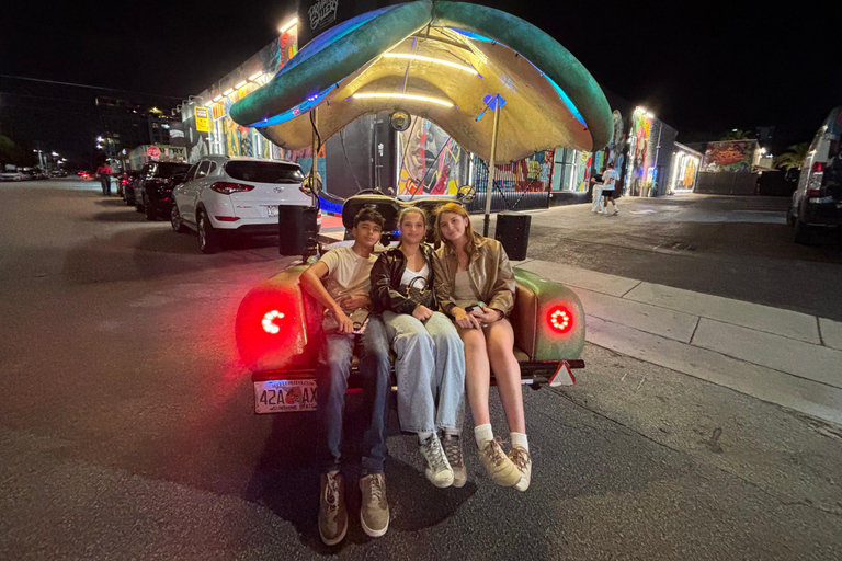 Miami: Graffiti & Street Art Tour in Wynwood Wynwood Graffiti’s Private Tour 2h