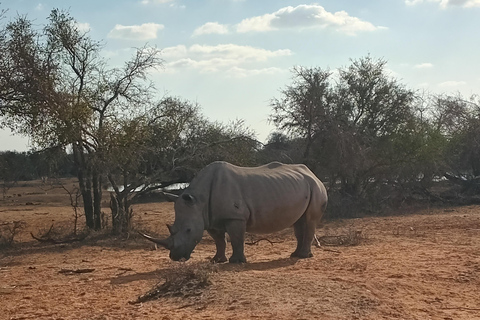 马普托：2 天斯威士兰野生动物园和文化之旅
