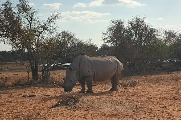 马普托：2 天斯威士兰野生动物园和文化之旅