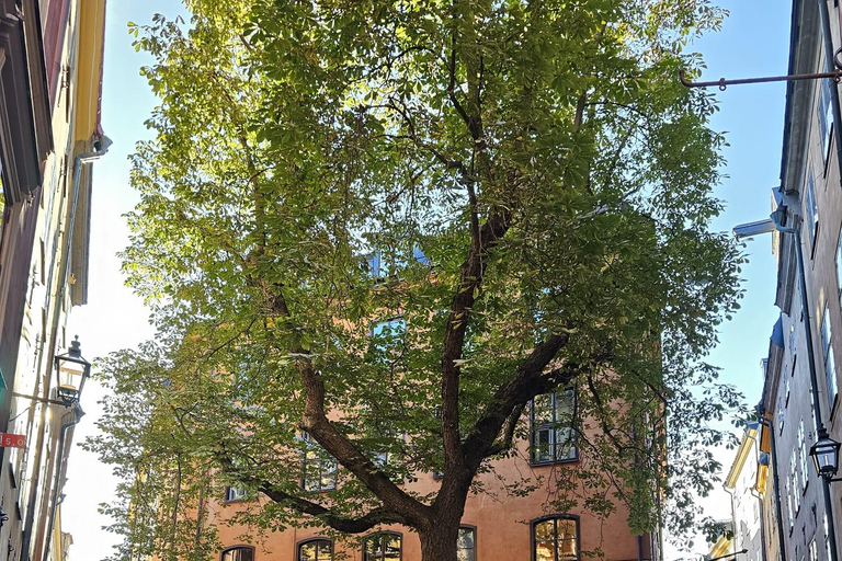 Stockholm: Old Town Walking Tour, stories and secrets