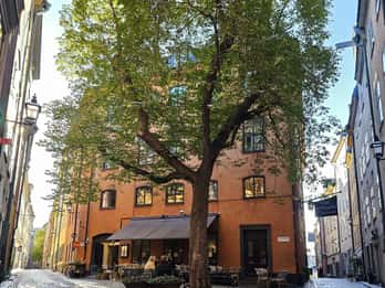 Stockholm: Wandeltour door de oude binnenstad, verhalen en geheimen