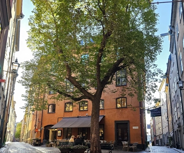 Stockholm: Old Town Walking Tour, stories and secrets