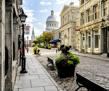 Old Montréal: Semi-private Walking Tour