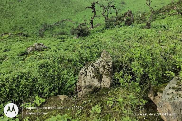 Wandelen in Lomas de Lachay in Lima