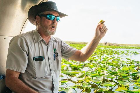 From Miami: Everglades Airboat, Wildlife Show & Bus Transfer Departure from Miami Beach (Tour in English)