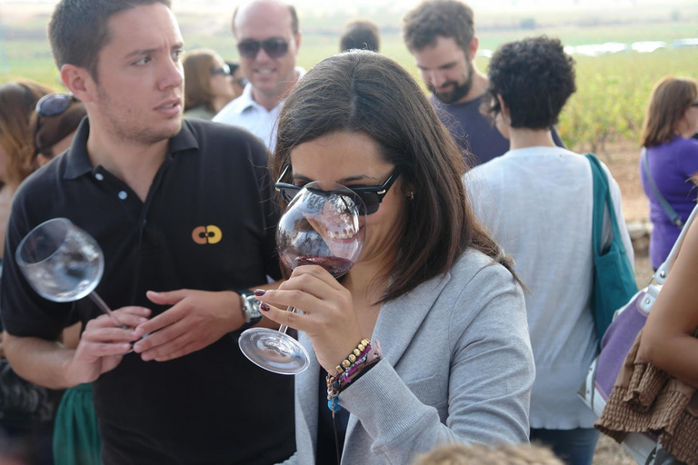 Valencia: tour dei vigneti, degustazione di vini locali e aperitivoValencia: tour dei vigneti, degustazione di vini locali e stuzzichini