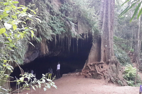 Nairobi: Karura Forest Bike Rental and Waterfall Walk