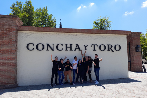 CONCHA Y TORO VINEYARD