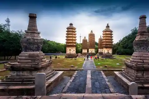 Tour privato alla foresta della pagoda di Yinshan con attività facoltative