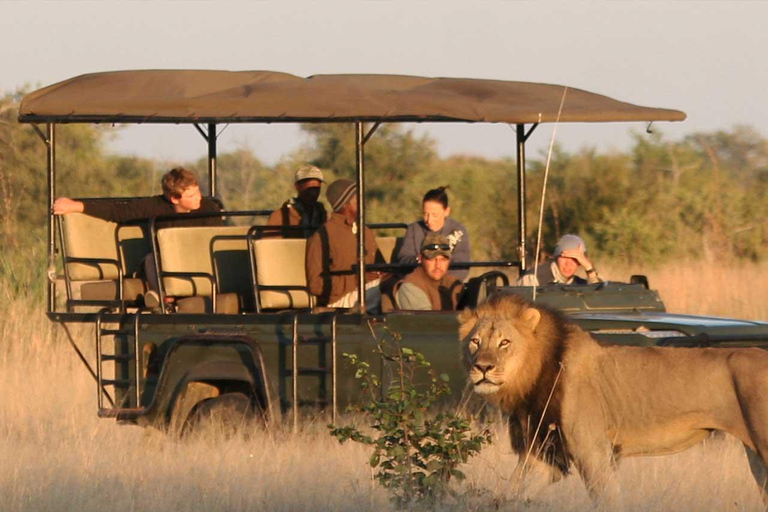 Parque Nacional Hwange: Safári em veículo 4x4 a partir das Cataratas Vitória
