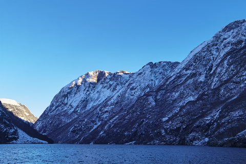 Flåm Flexible Tour with Stegastein, cruise and train include
