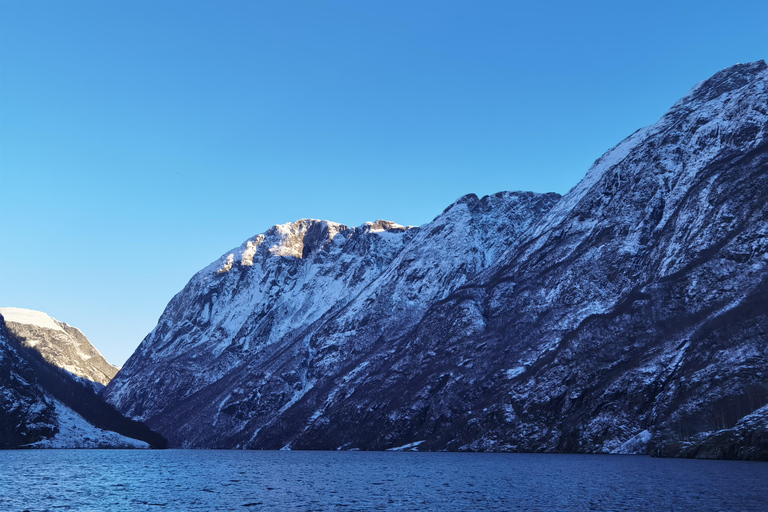 Flåm Flexible Tour with Stegastein, cruise and train include