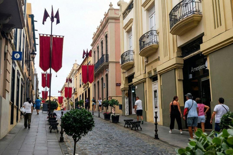 Private Teide & North Tenerife: Volcano, Valleys & Old Towns Afternoon Tour with Sunset Views