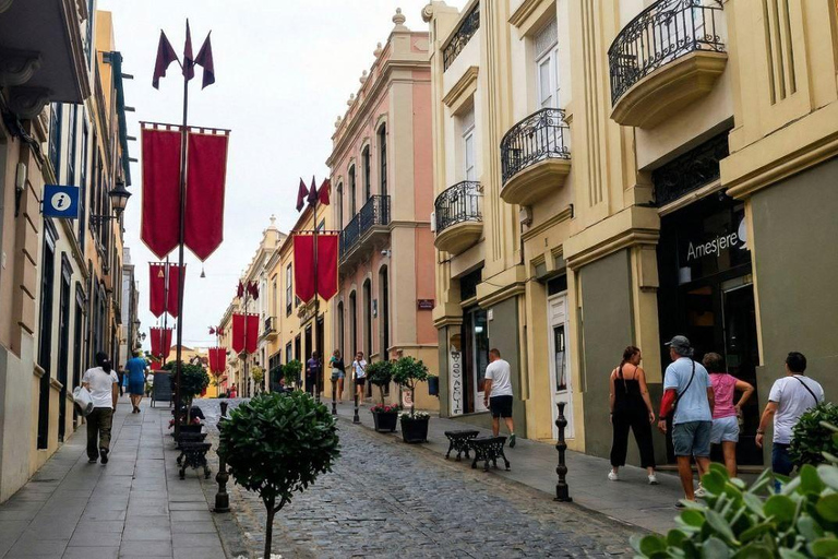 Private Teide & North Tenerife: Volcano, Valleys & Old Towns Afternoon Tour with Sunset Views