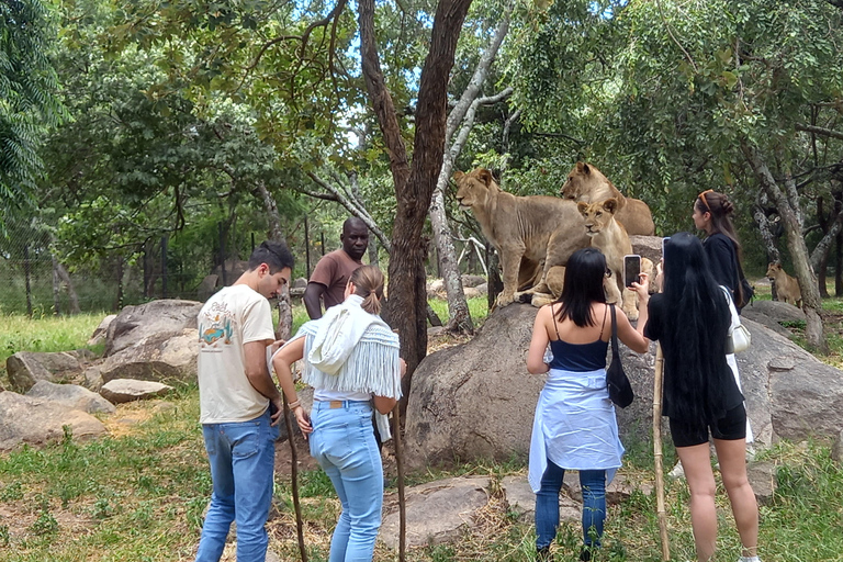 Harare: wycieczki z międzylądowaniem, safari i wakacje