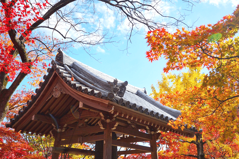 Hozugawa River Cruise & Sagano Train Experience Depart From Kyoto 9:20AM