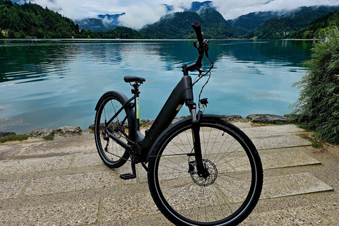 Bled: Bohinj Shuttle & Cycle Back to Bled