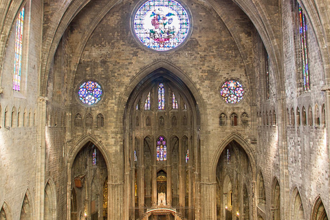 From Barcelona: Girona Guided Day Trip with Cathedral Entry Girona Walking Tour & Cathedral Entry