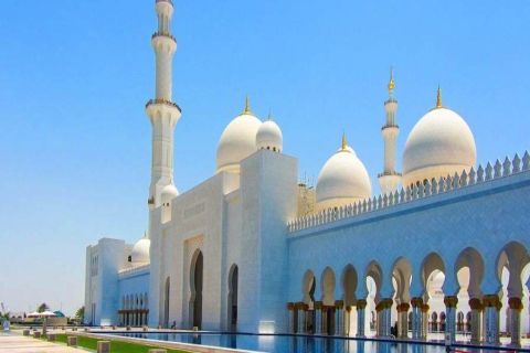 Da Dubai: Visita guidata di un giorno ad Abu Dhabi con trasferimenti in hotel