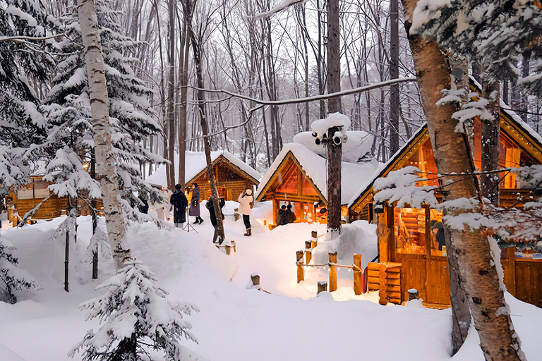 Asahiyama Adventure: Zoo+Waterfalls & Blue Pond Day Tour Meet at Exit 31 of Odori Park Subway Station