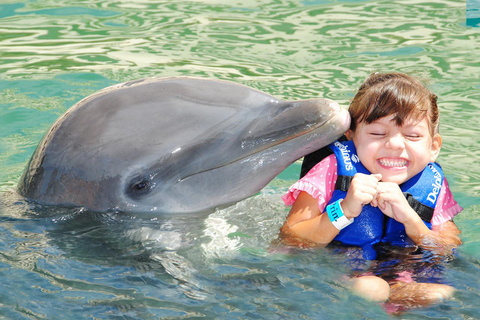 From Playa del Carmen: Complete Combo to Xcaret Park! Xcaret Park Entrance