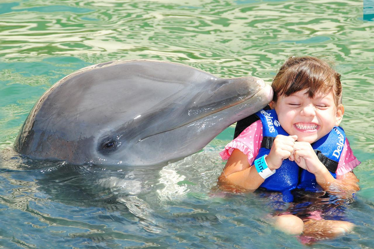 From Playa del Carmen: Complete Combo to Xcaret Park! Xcaret Park Entrance