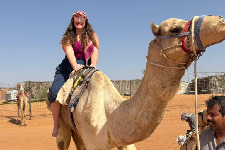 Oman Desert Safari with Activities & Sunset Watch Tour