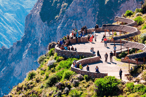 Desde Arequipa: Cañón del Colca 1 Día