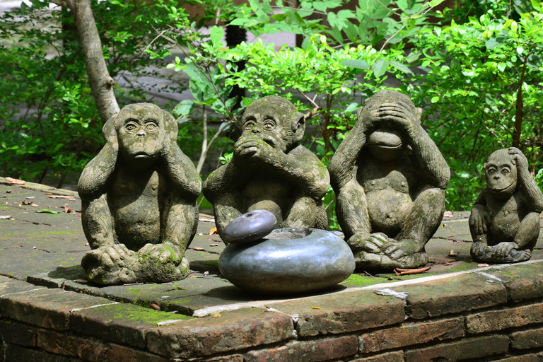 Chiang Mai: 4-godzinna wycieczka do Doi Suthep, Wat Umong i Wat Phalat