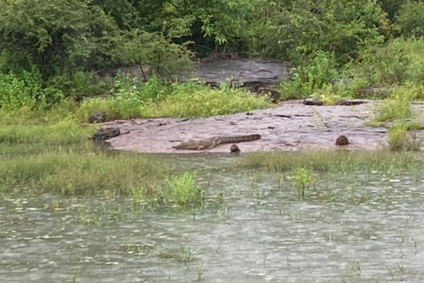 Från Kandy: Sigiriya Lion Rock fästning och byresa