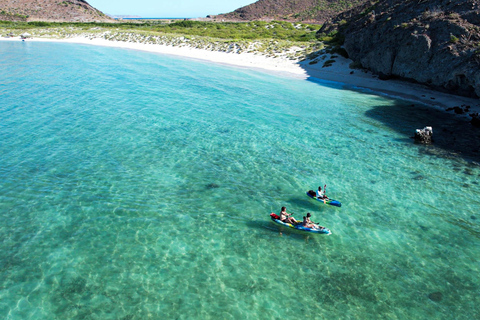 Balandra Adventure: Hike, Kayak, and Snorkel