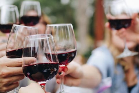 From Cape Town: White vs Red Pinotage Wine Private Tour