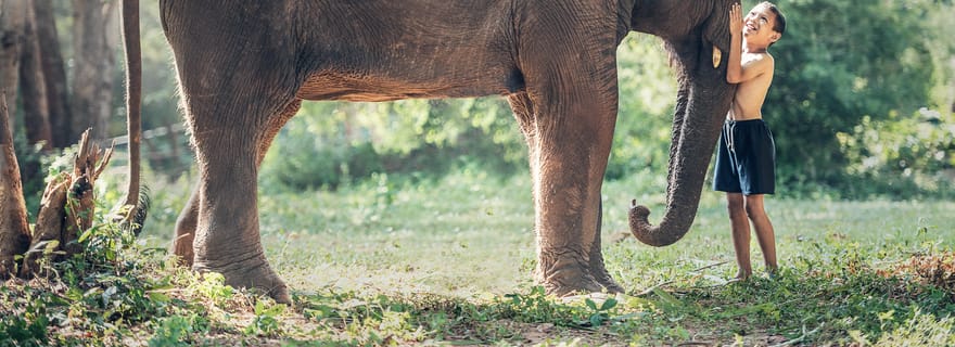 Au départ de Cochin : visite nocturne de 4 jours au Kerala en bateau à moteur