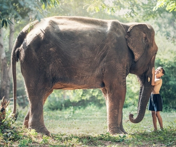 From Cochin: 4-Night/5-Day Kerala Tour