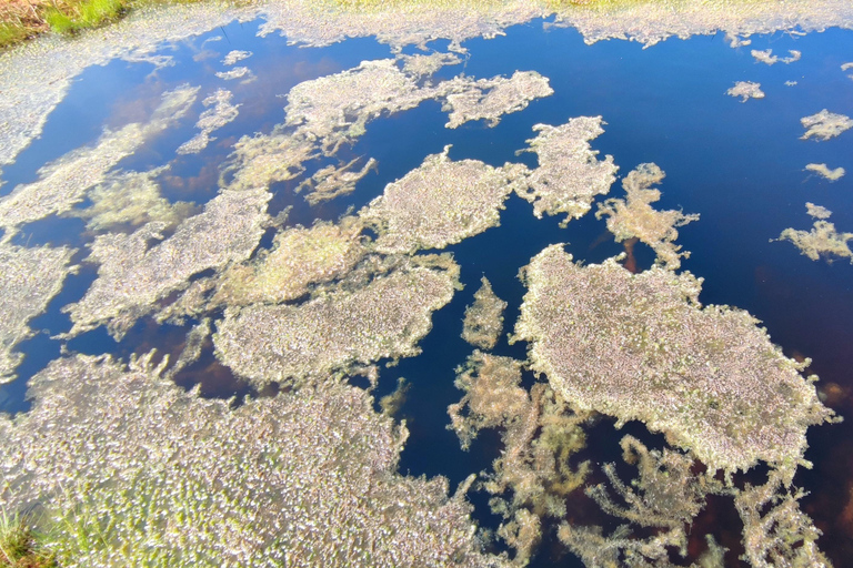 Naturäventyr - Myrvandring, Födosök, Lantlig kultur