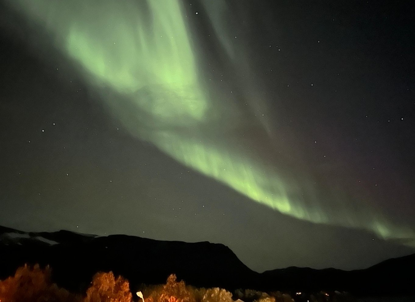 Harstad/Narvik/Tjeldsund: Nordlys-sightseeing i bil