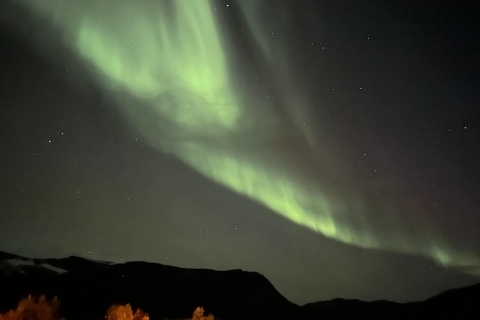 Harstad/Narvik/Tjeldsund : Observation des aurores boréales en voiture