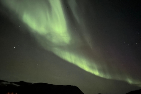 Harstad/Narvik/Tjeldsund : Observation des aurores boréales en voiture