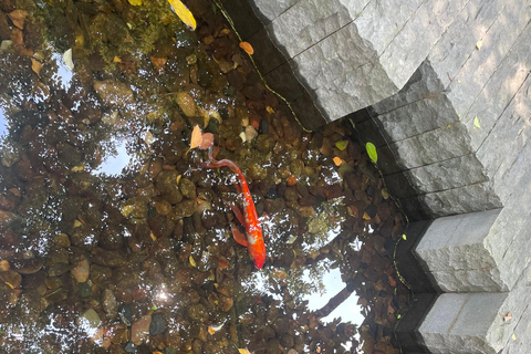 Shanghai Former French Consession Guided Walking Tour