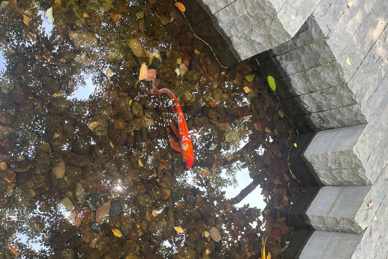 Shanghai Former French Consession Guided Walking Tour