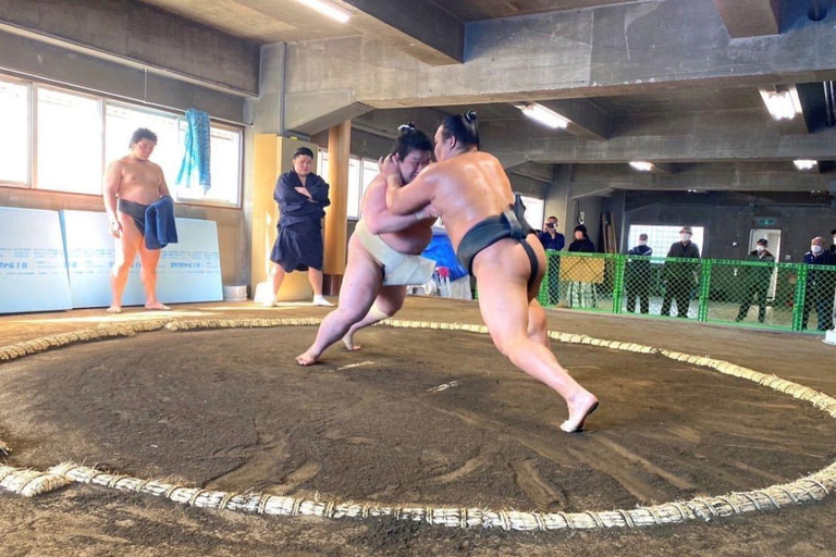 Osaka: Authentic Sumo Morning Practice & Chanko Lunch Authentic Sumo Morning Practice Viewing 【Only viewing】