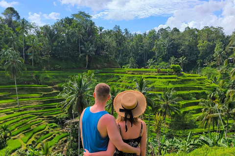 Bali: Shore Excursion for Cruise Passengers from Benoa Port Private shore excursion (No Ticket)