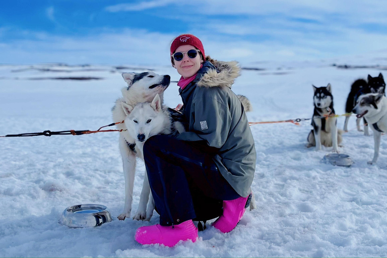 Nordkjosbotn: Dog Sledding and Puppy Visit from Tromsø