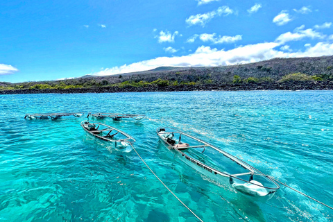 Île de San Cristobal : excursion en kayak transparent avec photos