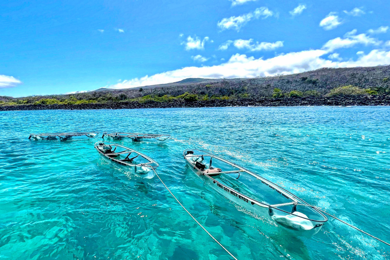 Île de San Cristobal : excursion en kayak transparent avec photos