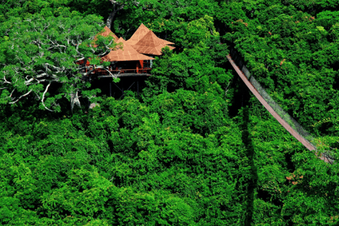 Sanya: Yalong Bay Tropical Forest Ticket and Tour Car