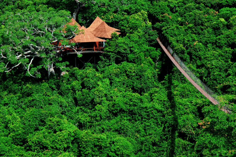 Sanya: Yalong Bay Tropical Forest Ticket and Tour Car