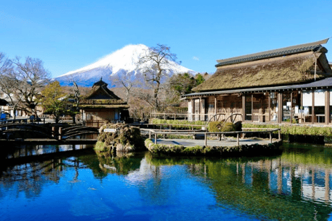 Von Tokio aus: Mount Fuji Customize Day Tour mit englischem Fahrer