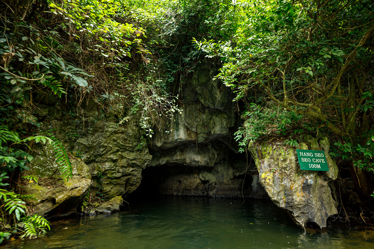 De Hanói: Mua Cave - Tam Coc Full Day TourDe Hanói: Ninh Binh Boat Tour - Mua Cave Tour